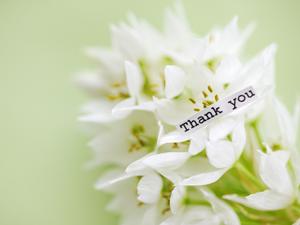 豊富な種類があるシーズニングの専門店