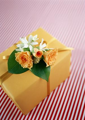 豊富な商品を扱うラジコン飛行機の専門店